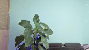 Recent Screenshot of  melisa_se