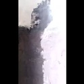 melissaknowles46's Profile Picture