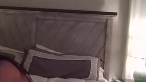 Recent Screenshot of  merz354