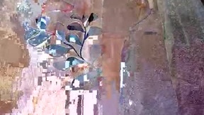 Recent Screenshot of  mickey_2007