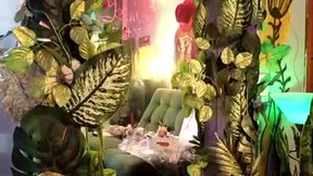 Aktueller Screenshot von midas307k