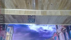 لقطة شاشة حديثة لـ miia_zarate