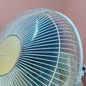 mikaela_lovee's Profile Picture