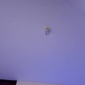 mikesantoss1's Profile Picture