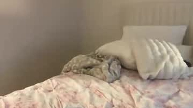 milarosexoxox