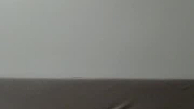misscurvymature