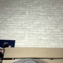 missevelynglow's Profile Picture