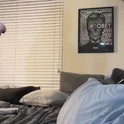 missroxyb's Profile Picture