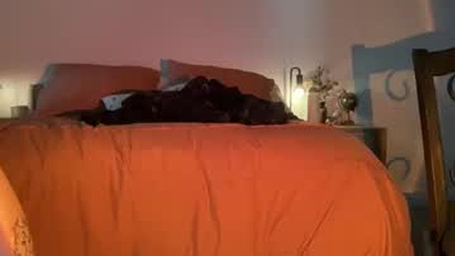 missspeachy