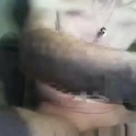 mister_livebiman's Profile Picture