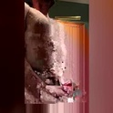 mistymorning81's Profile Picture