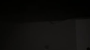 Recent Screenshot of  misytara