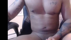 Recent Screenshot of  mixed_breed2015