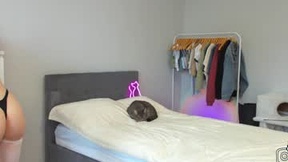 Πρόσφατο στιγμιότυπο οθόνης του mjgreencat