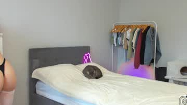 mjgreencat