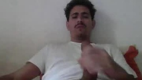 Recent Screenshot of  mobidick24