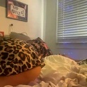 molly_theslut's Profile Picture