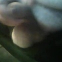 moltencore93's Profile Picture
