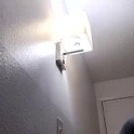momoneyr15's Profile Picture