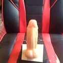morefunforeveryone's Profile Picture