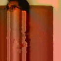moreno266152's Profile Picture