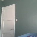 mravocadoman22's Profile Picture