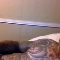 mrstickie46's Profile Picture