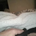 mrtongueopleasure's Profile Picture