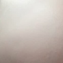 mymymy77's Profile Picture