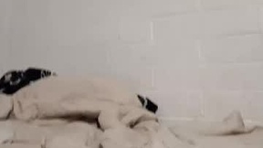 Recent Screenshot of  mysterywolf91