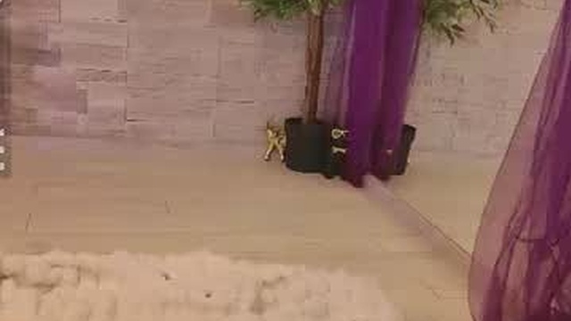 nataliadoll_