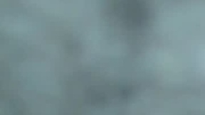 Recent Screenshot of  natalie_porter_