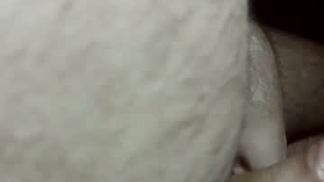 ncbncb