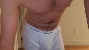 Recent Screenshot of  neapolitan_flavor