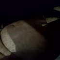 nick_core's Profile Picture