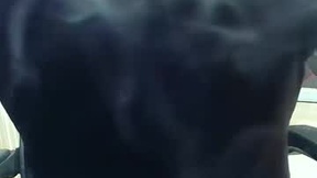 Recent Screenshot of  niglo620