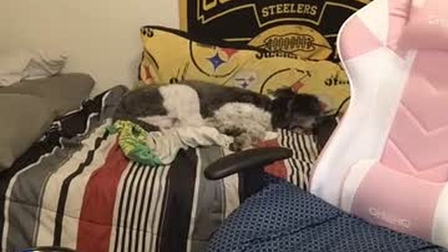nikkimasters1091