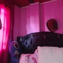 nikkirous_'s Profile Picture