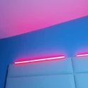 nixierose_'s Profile Picture
