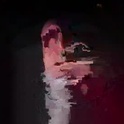nolak28's Profile Picture