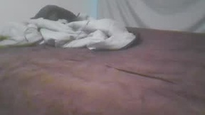 Recent Screenshot of  norty450