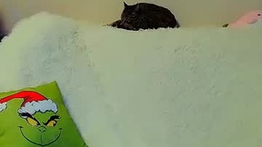 Recent Screenshot of  not_nakedcat