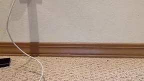 Recent Screenshot of  nova992449