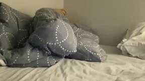 Recente schermafbeelding van novaxeli