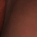 nudebotanist's Profile Picture