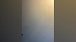 Recent Screenshot of  o0heaven0o