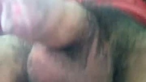 Recent Screenshot of  oigreshi