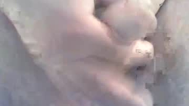 oleandr2