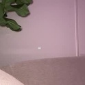 onlyyyivy's Profile Picture