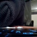 ook_ck's Profile Picture